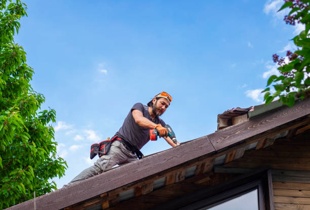 Best Gutter Installation and Repair  in Allendale, MI