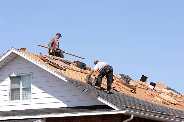 Steel Roofing in Allendale, MI